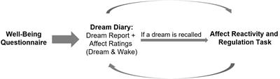 Negative dream affect is associated with next-day affect level, but not with affect reactivity or affect regulation